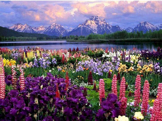 'Berge und Blumen', MNZ047